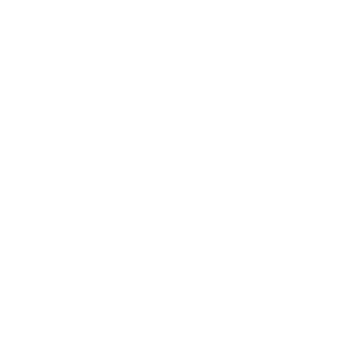 Icon-Backup-01-w