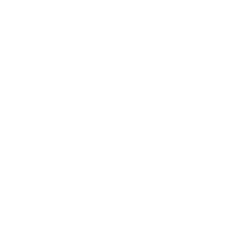 Icon-DisasterRecovery-01-w