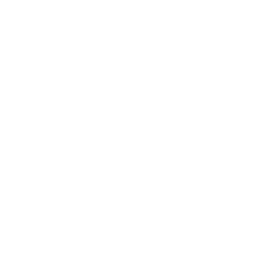 Icon-Storage-01-w